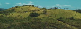 Land for Sale in La Pintada - 0 bedrooms