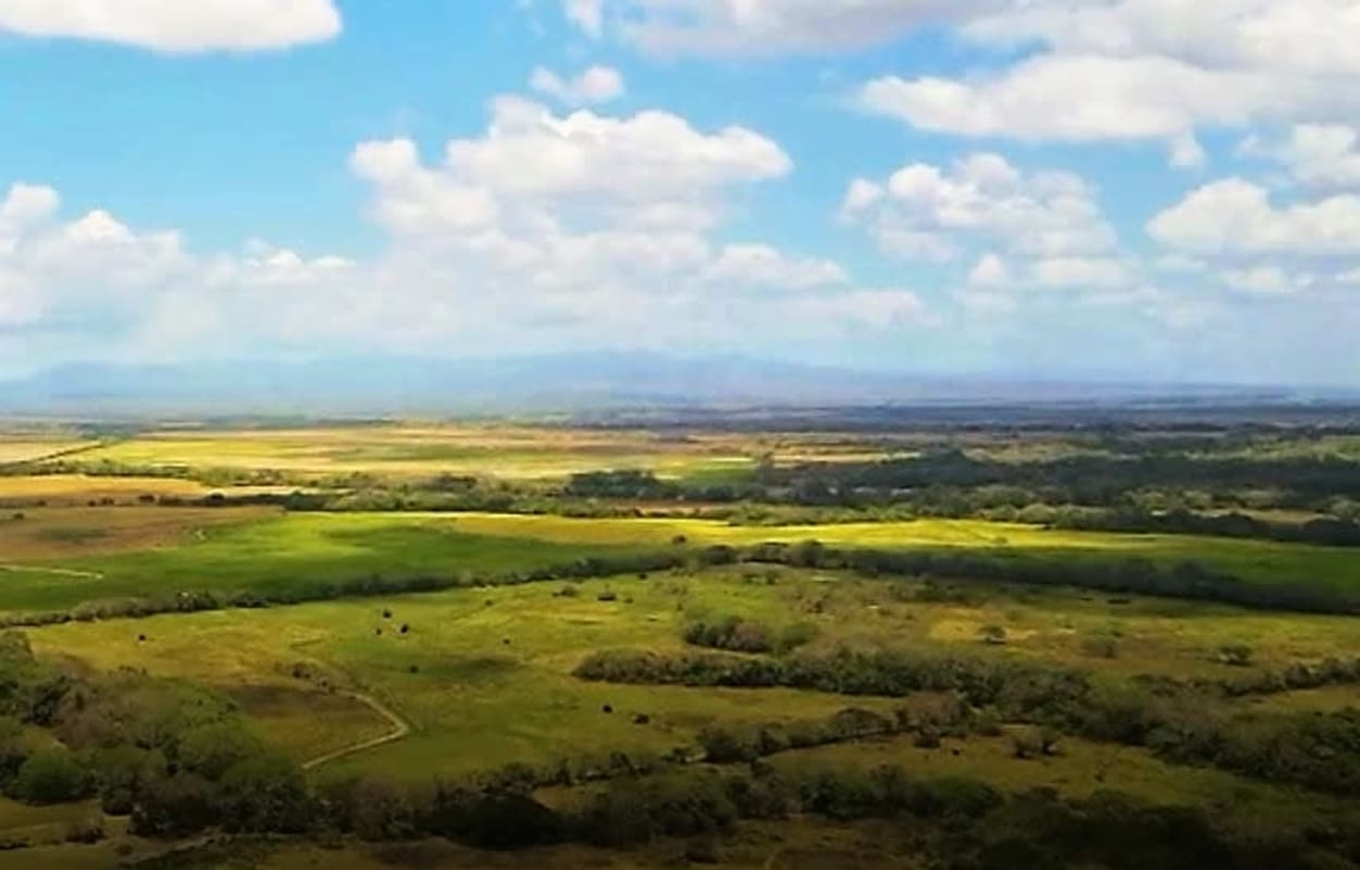 Aerial view of expansive farmland mixed with forest suitable for large scale projects in Panama