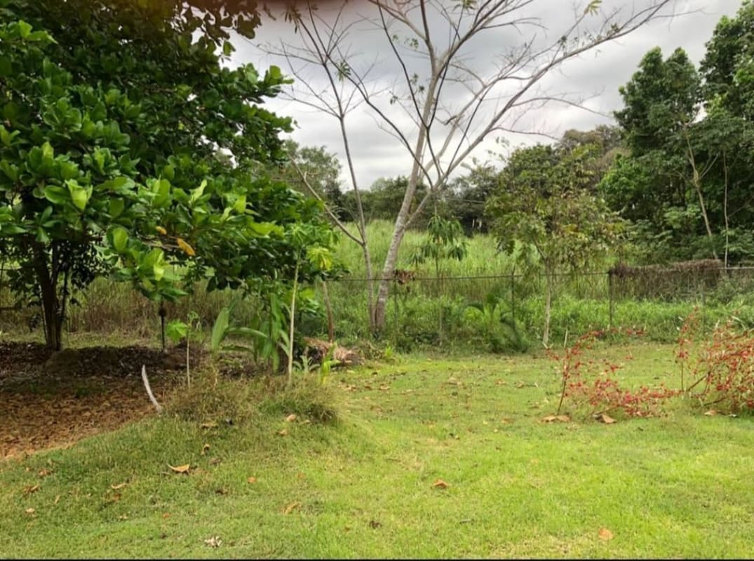 Partially fenced grassy lot with trees and natural landscaping for sale Clayton Panama
