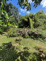Fenced flat lot with mountain views and banana trees El Valle de Antón Panama