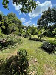 Fruit trees banana plants shaded lot for sale El Valle Coclé Panama