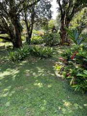 Land for Sale in Antón - 0 bedrooms