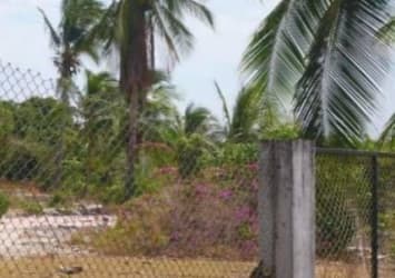 Chain-link fenced lot with palms, sandy soil near Pacific beachfront Gorgona Panama