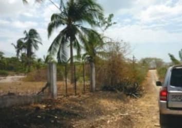 Rural dirt road with fence, palm trees near beachfront property in Playa Gorgona Panama