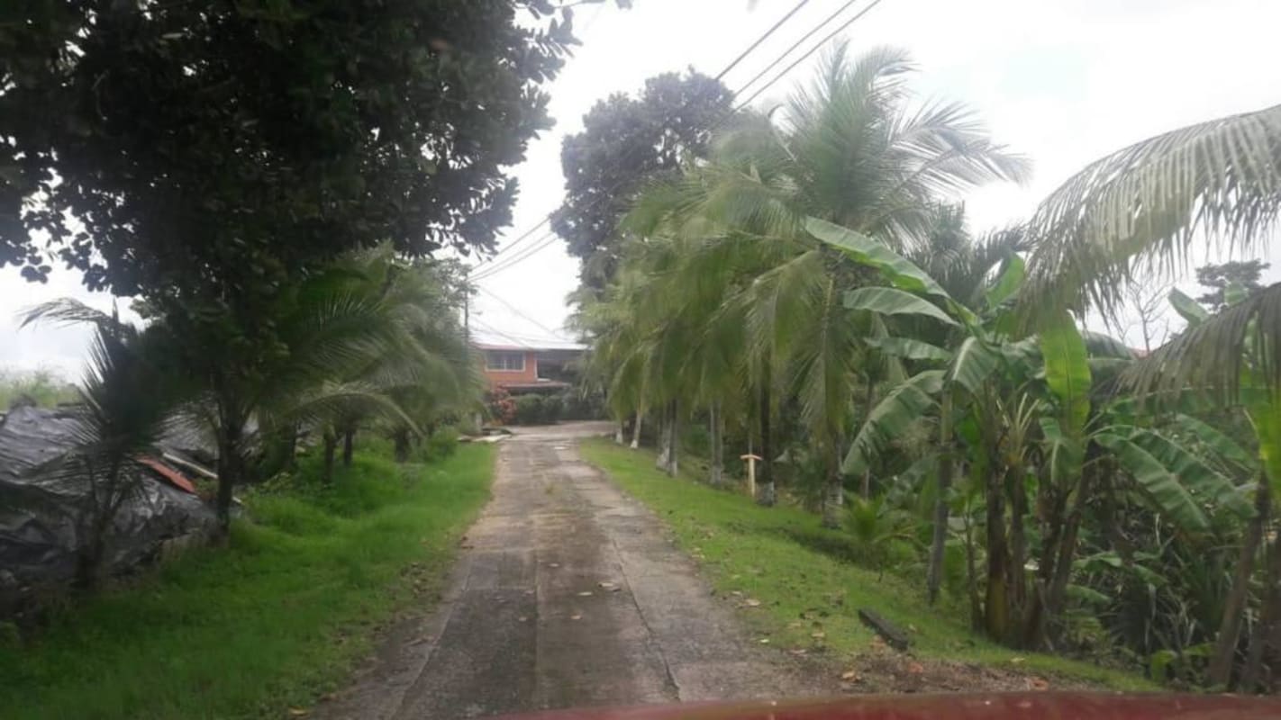 Vacant lakefront parcel with abundant greenery and water views in Las Lajas Las Cumbres