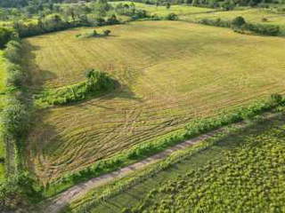 Farm / Ranch Land for Sale in Siogui - 1 bedroom