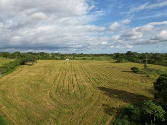 Panoramic rural farmland in Siogui Bugaba for agricultural use