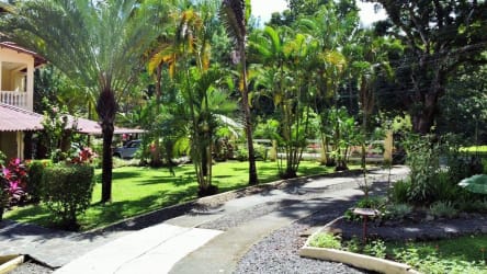 Lush garden with tropical plants private driveway mountain villa in Panama