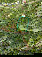 Land for Sale in Soná - 0 bedrooms