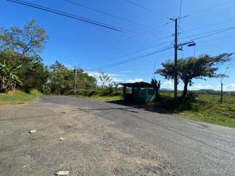 Paved road with bus stop and utility poles adjacent to 23 hectares development land in Soná Panama
