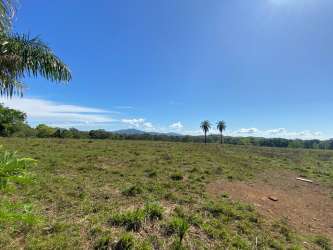 Flat open green field with trees and distant mountains ideal for housing development near Soná Panama