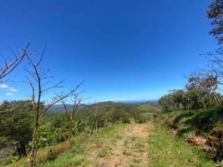 Agricultural land / Cattle ranch for Sale in Montijo - 0 bedrooms