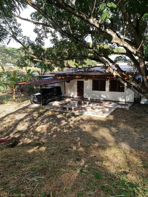 Exterior of single-family house with shady tree and carport in Paraiso Canal Zone
