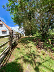 Grassy open hill with trees on mountain land for sale in Chicá Panama