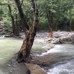 River with rocky banks surrounded by trees Altos del María Panama