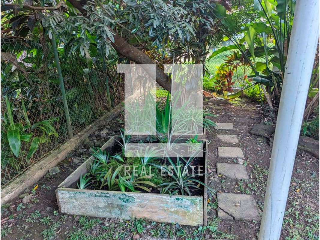 Green garden with raised beds, stepping stones, vine-covered fence, Diablo Ancon Panama