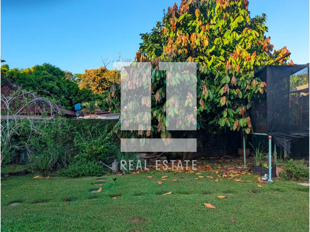 Garden with mature trees, stepping stones, lush greenery, Diablo Ancón Panama