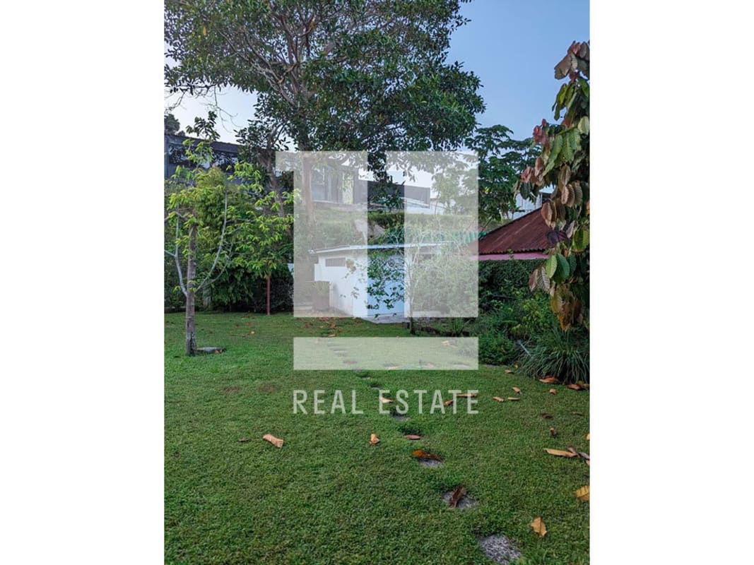 Large garden, above-ground pool, patio cover, mature trees Diablo Panama