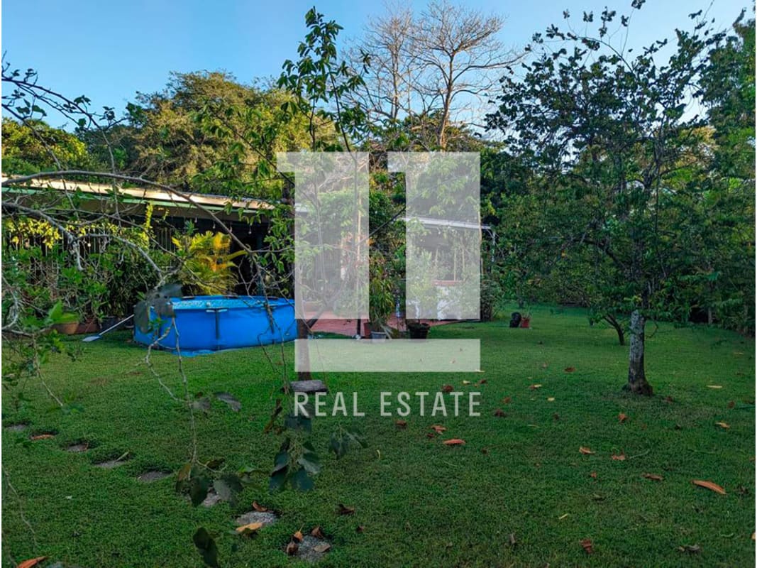 Traditional facade, tropical plants, white walls, Diablo Heights Panama City