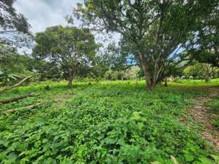 Land for Sale in Antón - 0 bedrooms