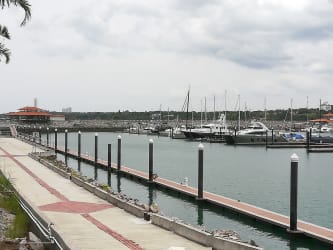 Resort-style infinity swimming pool overlooking Pacific Ocean at Vista Mar in San Carlos Panama beachfront residential community