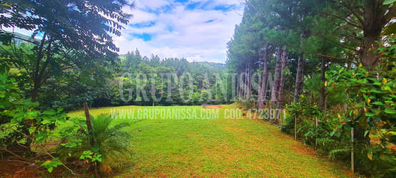 Large grassy open mountain lot surrounded by dense forest in Altos del María Panama