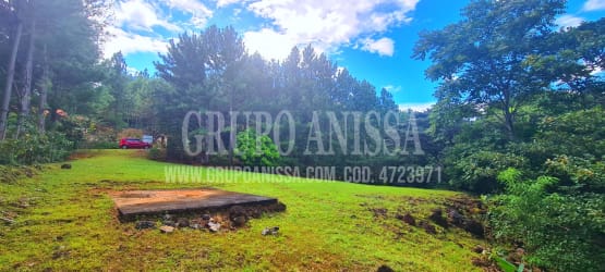 Grassy flat lot surrounded by lush forest ready for construction in Altos del María Panama