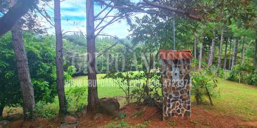 Stone well with pine trees and lush greenery in Altos del María mountain community Panama