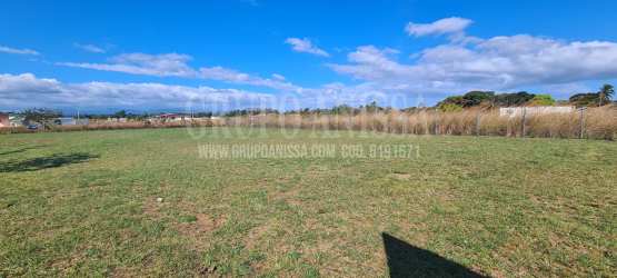 Vacant buildable plot in Rio Hato Cocle Panama with clear sky, green grass, nature views