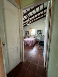 Swimming pool and pergola shaded backyard with tropical landscaping at Coronado house