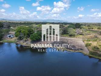 Scenic aerial lakefront land with trees blue sky in Panama