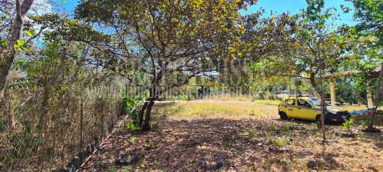 Flat vacant plot fully fenced with mature trees Rio Mar San Carlos Panama