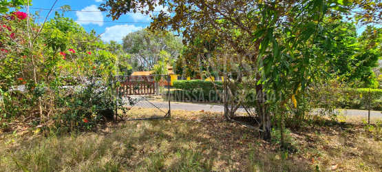 Garden entrance with tropical greenery and metal fence Rio Mar San Carlos Panama