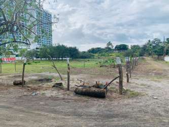 Clear, mostly flat coastal land with some trees on Pacific shore in Nueva Gorgona