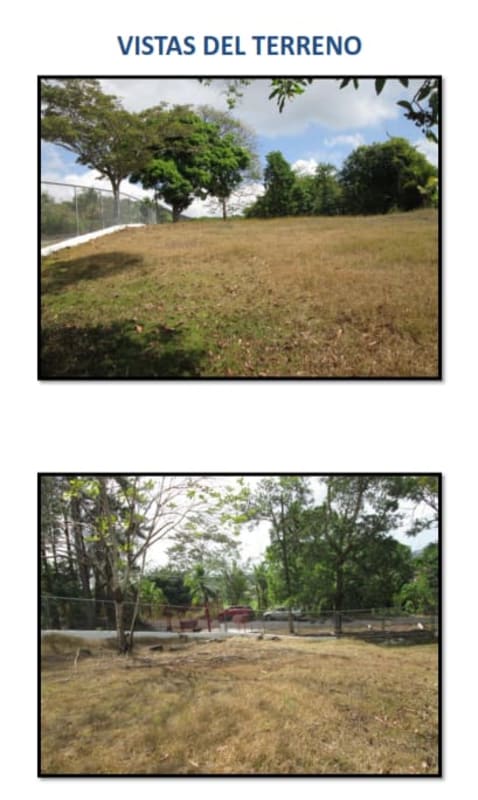 Natural terrain open land with trees and fence in Las Cumbres Panama