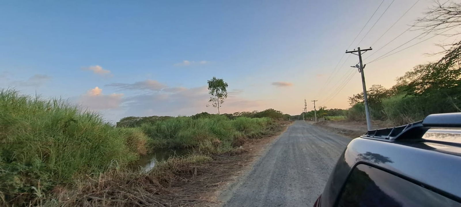 Dirt road and lush surroundings on development land for sale Costa Sur Panama