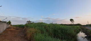 Development Land for Sale in Costa del Este - 0 bedrooms