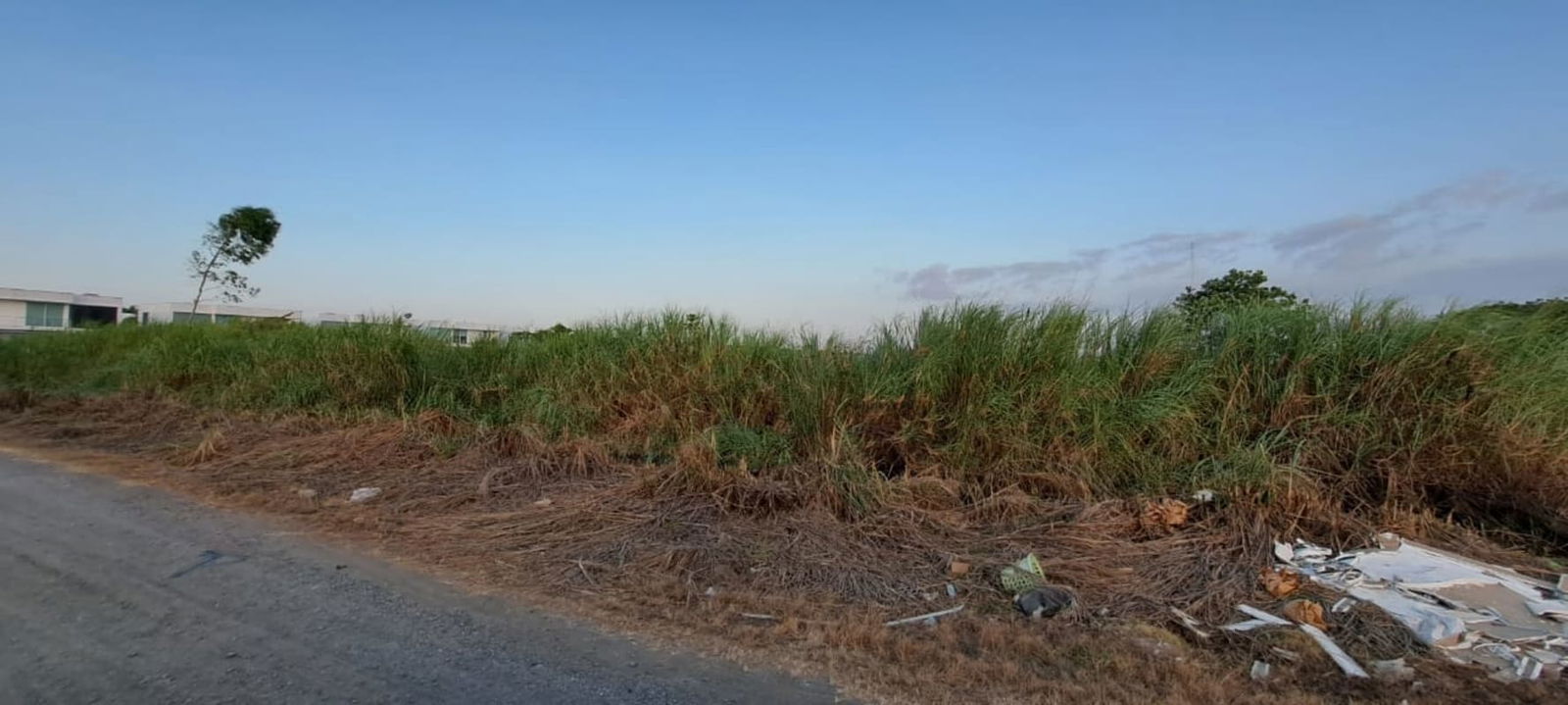 Wide grassy field suitable for large scale project near Costa Sur and Santa Maria Panama City