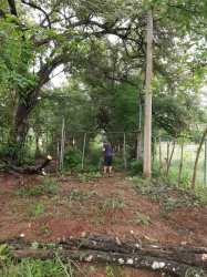 Titled 11.5 Hectare Development Land near Punta Chame Beaches