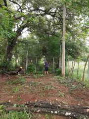 Land / Farm Lot for Sale in Chame - 0 bedrooms