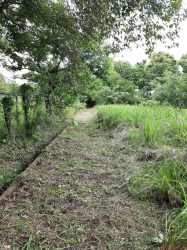 Rural access road and fence bordering large farm lot for sale near Punta Chame in Panama