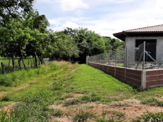 Wooded Panama countryside land for sale near Punta Chame beaches by Hola Realty