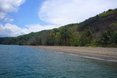 Clear turquoise sea and greenery at Isla Cébaco Veraguas Panama land for sale