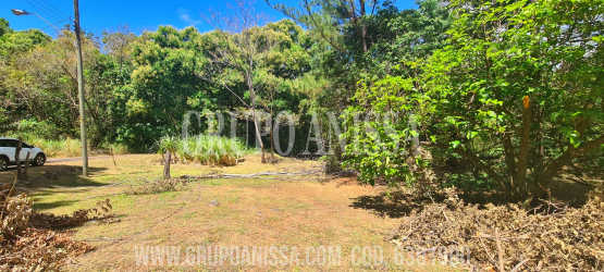 Natural flat lot with green grass and mountain scenery in Altos del María Panama