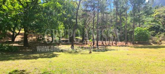 Flat 2496m² Lot for Sale in Altos del María Panama