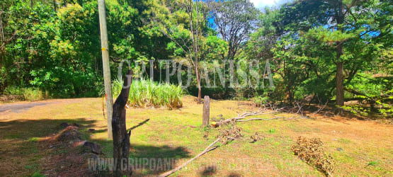 Open plot of land surrounded by greenery ready for development Altos del María Panama