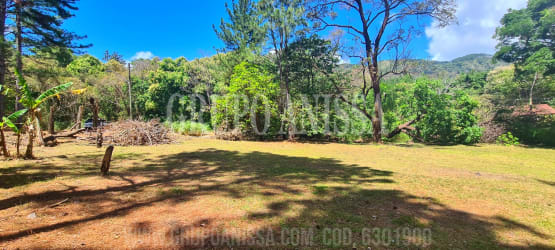 Large open land lot in mountain area with forest surroundings in Panama