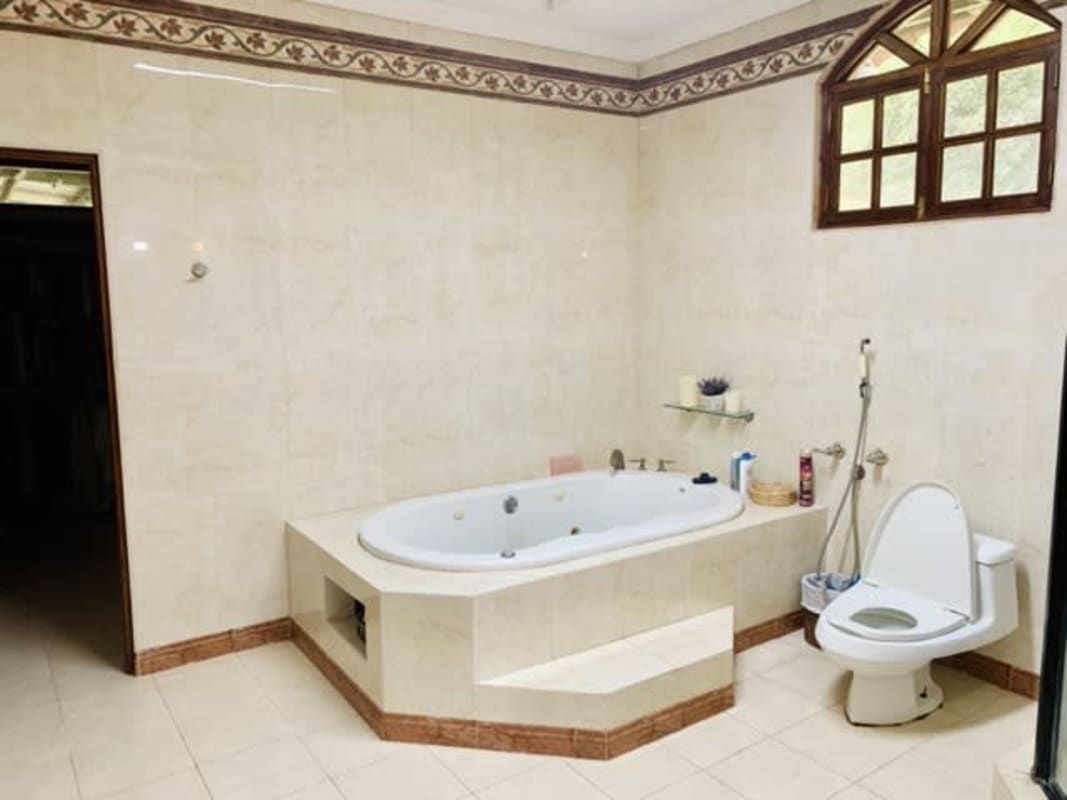 Large tropical backyard lush landscape Clayton embassy area Panama for sale luxury property