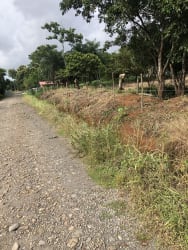 Rustic dirt road adjacent to fenced vacant land with trees near David airport Panama
