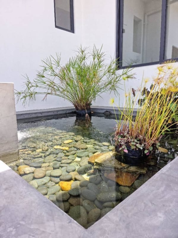 Luxury walk-in closet with built-in shelves and ample storage in golf community residence